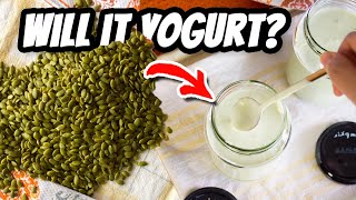 Will it Yogurt? PUMPKIN SEED YOGURT (plain vs with oats, chia, flax + more) | Mary&#39;s Test Kitchen