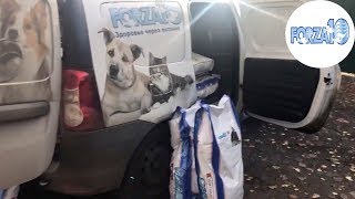 ЛУЧШИЙ КОРМ ДЛЯ СОБАК И КОШЕК FORZA10. ПРИНИМАЕМ ЗАКАЗЫ ЛУЧШИЙ КОРМ ДЛЯ СОБАК И КОШЕК FORZA10. ПРИНИМАЕМ ЗАКАЗЫ