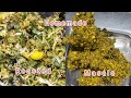 Maggic masala 👌🏻recipe by annpurna easy cooking!! Masala ek recipe anek 🧑‍🍳