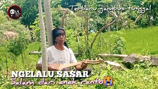 🥎NGELALU SASAR/TERBARU GAMBUS TUNGGAL SASAK INI MAU MENANGIS SALAM DARI ANAK RANTO