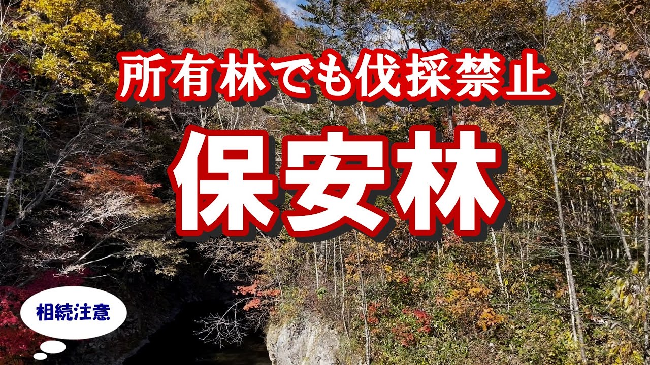 保安林なら自分の山林でも勝手に立木伐採できません。 YouTube