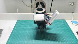 inertial pendulum robot/uni-cycle robot-final