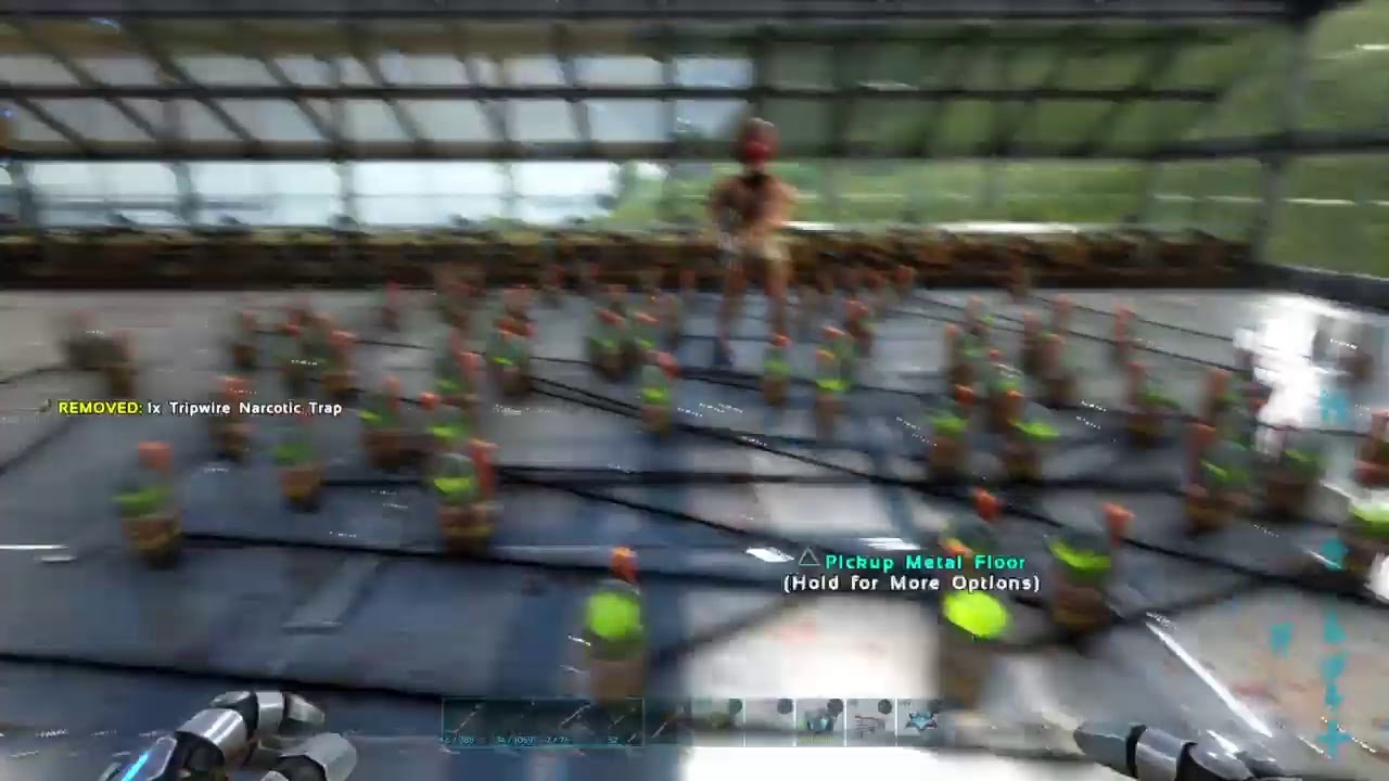 ARK: Survival Evolved putting 100 narcotic tripwire around afk person