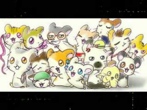 ~Tribute to Hamtaro and the Gang~