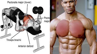 Chest Workout With Dumbbells | Dumbbell Chest Exercise | Chest Exercise With Dumbbells