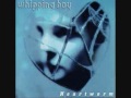 Whipping Boy - Tripped