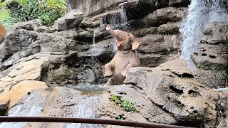 HONG KONG DISNEY LAND BOTH (ARCELI VLOG)