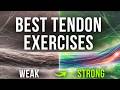 Tendon Training Best Exercise For Every Weak Tendon 