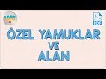 Özel Yamuklar ve Alan | Kamp2020