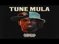 🎵 Tune Mula – DROPOUT (Official Audio)