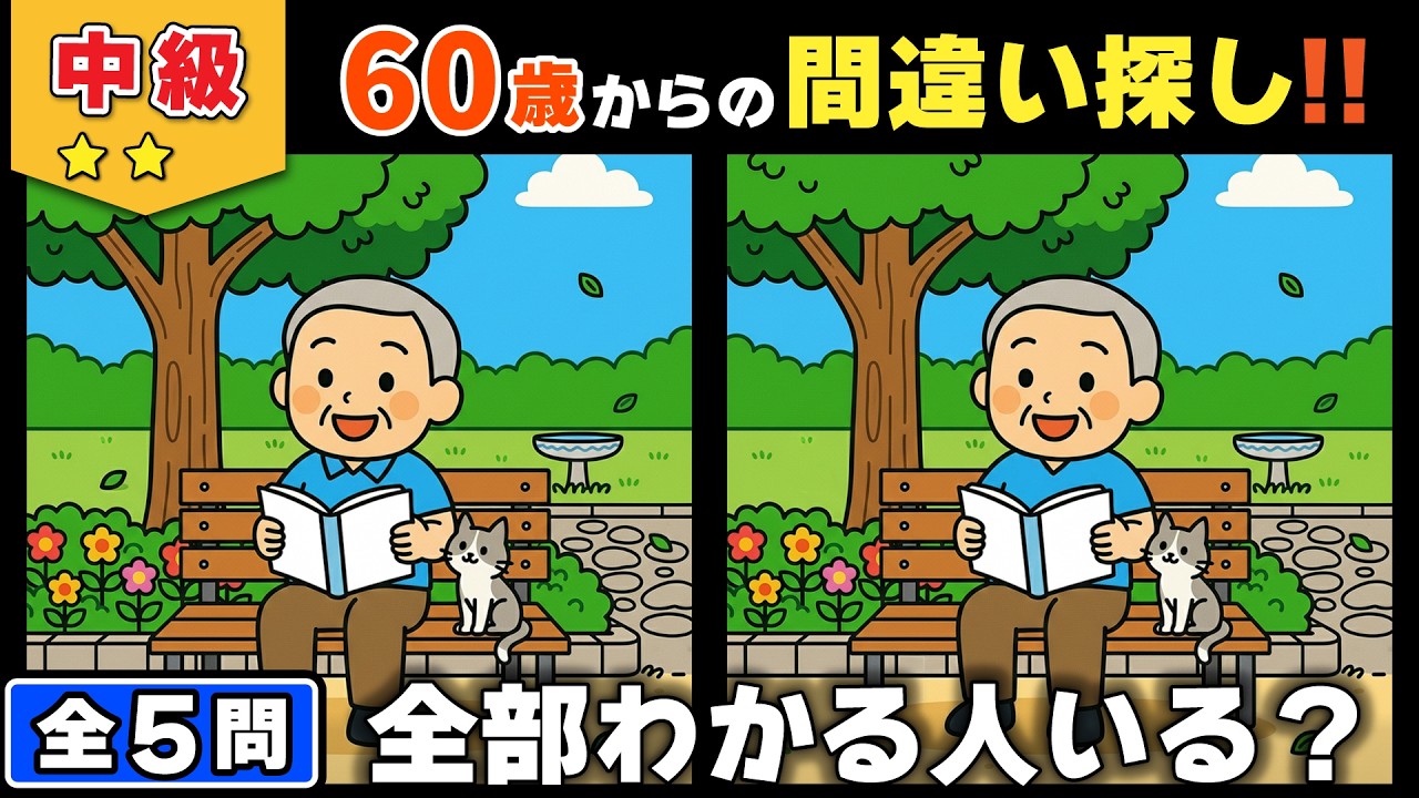 【脳トレ】間違い探し★中級編★全5問｜小さな違いに気づける人は若々しい #185