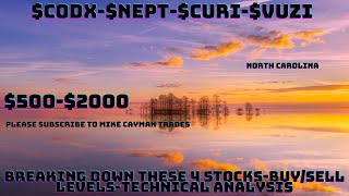 $CODX-$NEPT-$CURI-$VUZI-$500-$2000-Technical Analysis-Buy/Sell Levels-#CODX-#NEPT-#CURI-#VUZI
