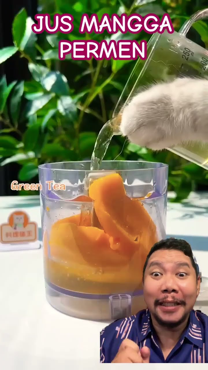 JUS MANGGA PERMEN LOLIPOP!!!? #cat #cookingcat #pets #catlover #funnycats #shorts