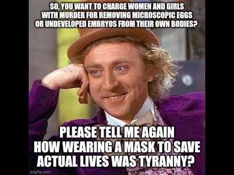 Taking down Roe v Wade Misinformation (and how you can too!) #roevwade #politics #abortion #memes