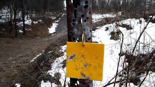 Savage model 62f .22 semi auto 100 yards