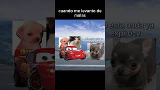 random XD #videorandom #humor #policía#memes #like