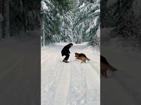 Missing You More And More Everyday Shakira