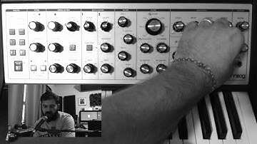 Synth Basics (#Moog Sub Phatty Oscillator Filter LFO)