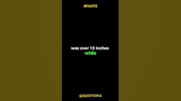 Snowflake 15 inches wide  #shorts #viralshorts #trendingshorts