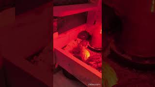 Ev Yapımı Kafes Nasıl Olmuş Sizce