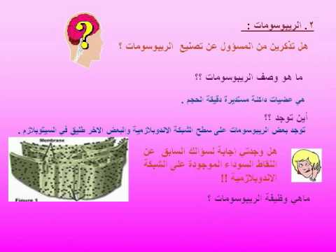 ماهي عضيات الخلية