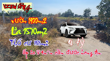 Đất view sông thổ cư vườn lúa đường xe hơi xã Tân Ân cần đước Long An