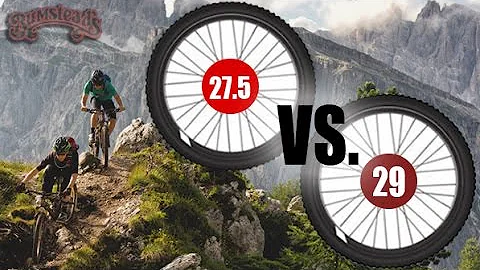 Should You Use A 27.5" or a 29" Mountain Bike?