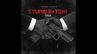 Sega-Stupid B*tch-(Audio/Diss track)