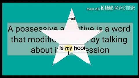 MLZS JHANSI CLASS 6 English Grammar Chapter 4 Determiners Lecture 1