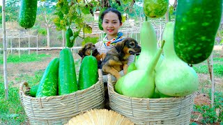 Harvesting Bottle Gourd Goes To Market Sell - Cooking Gourd Soup, Gardening, Farm, Daily life