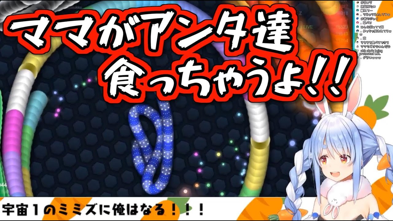 全力で介護されたあげく壮絶な死を遂げる兎田ぺこら【Slither io】