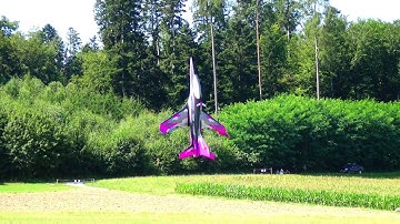 STUNNING!!!RC JET AEROBATIC TURBINE  VECTOR THRUST MEPHISTO MODEL XTREME FLIGHT