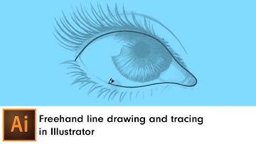 Freehand line drawing and tracing in Illustrator | DynamicSketch