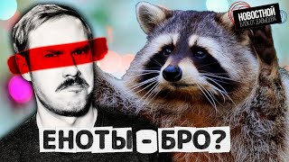 Download Lagu ЧЕЛОВЕЧЕСКИЙ МУСОР ОДОМАШНИЛ ЕНОТОВ | Волчанка ближе, чем ты думаешь | Какой лжи мы верим охотно. MP3