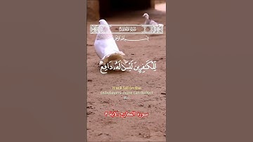 سورة المعارج الآية ٣ #سورة_المعارج #اكسبلور #قرآن #آيات #duet #قران #سورة #الله #قران_كريم