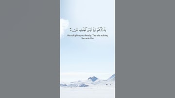 آيات من سورة الشورى للقارئ الشيخ احمد العجمي