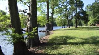 Experience the History and Nature of the MS Great River Road