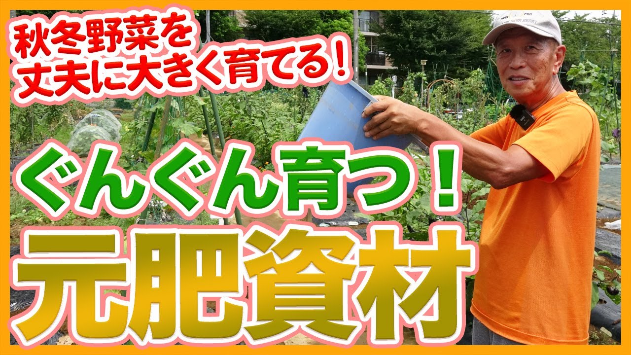 家庭菜園や農園の秋冬野菜栽培で、野菜がぐんぐん育つ元肥資材！秋冬野菜を成功させる牛糞・鶏糞・油粕等の使い方を徹底解説！【農家直伝】/Tips for using base fertilizer.