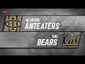 Game Highlights: No. 7 UC Irvine Anteaters vs. No. 2 California Golden Bears (Cal Cup Invitational)