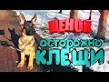 Средства от клещей для щенка Немецкая овчарка