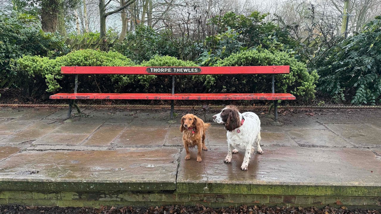 16/01/26 trail run with molly and willow