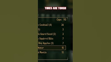 Times are Tough in Boulder City (Fallout New Vegas) #fallout #falloutnewvegasmods #whythetuck