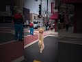 IL CÉLÈBRE TROP VITE… ET REGRETTE INSTANTANÉMENT 😳#short"