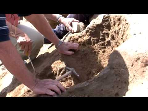Fossil hunt in Argentina - Fossiljakt i Argentina