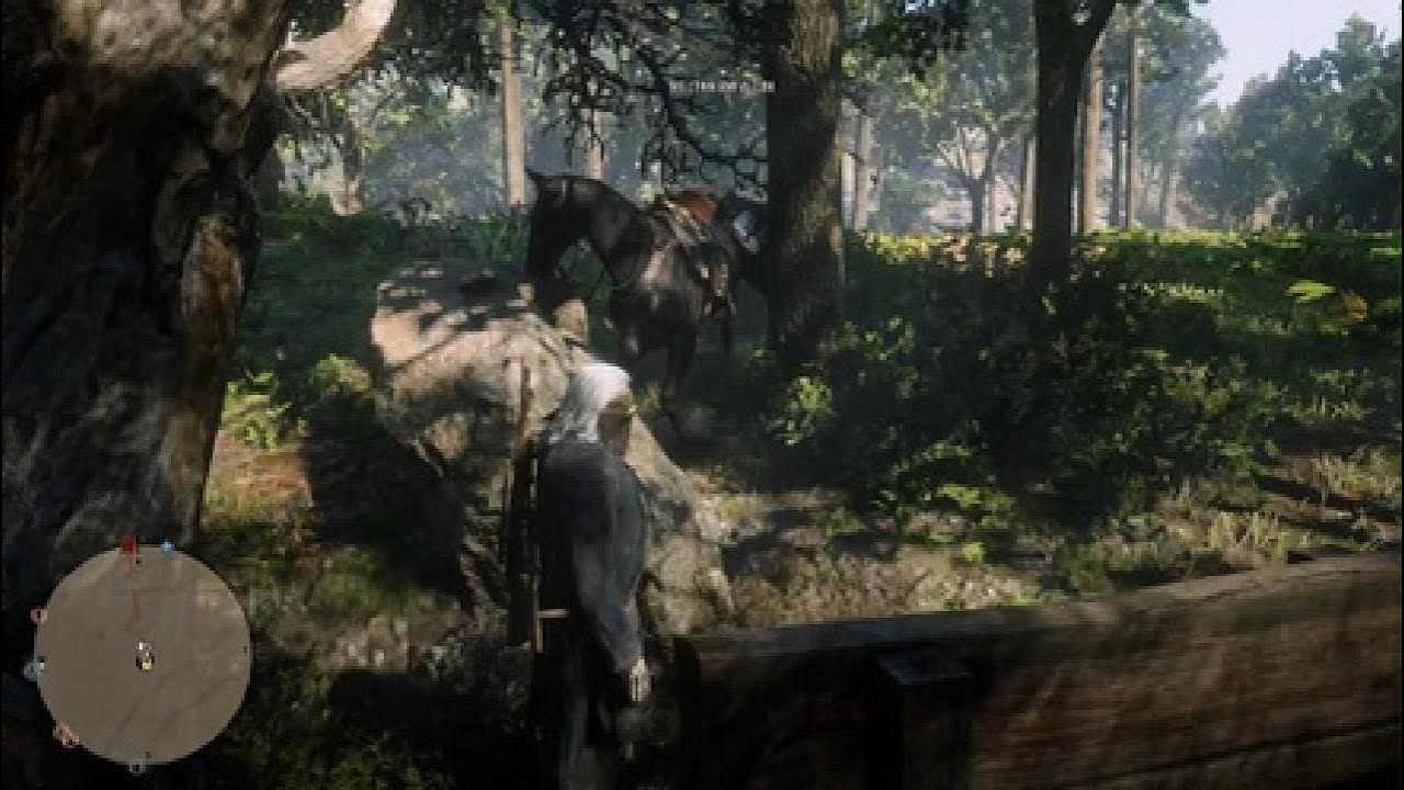 RDR2 Random moment #20 - YouTube