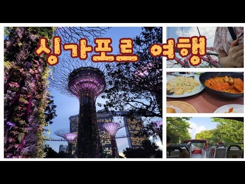 싱가포르 3박5일 패키지 1.🇸🇬 랜선여행 어떠세요? 가든스바이더베이. 플라워돔. 스카이파크. 칠리크랩. 오픈탑 이층버스. 슈퍼트리쇼 고고!