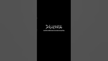 ياسر الدوسري|#سورة_القصص #كرومات_قرآن