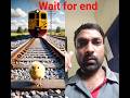 a new story of pigeon#ai#p #pigeon #shorts