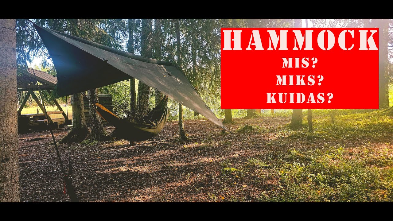 Hammock – mis see on, miks ja kuidas seda kasutada? | Nozzu seikleb