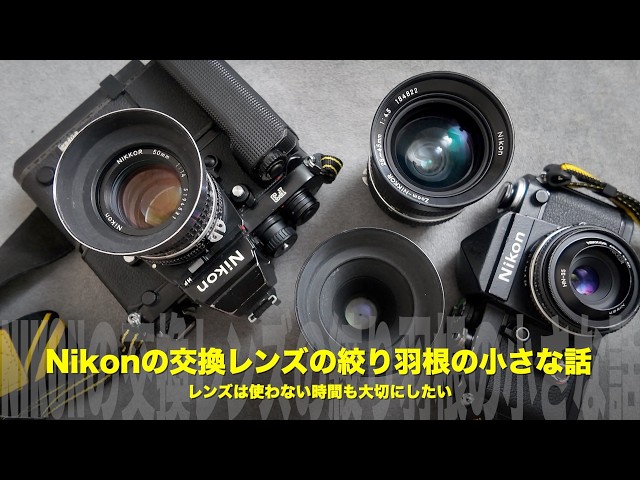 Ai Nikkor] Cherishing Lenses Even When Not in Use: A Perspective
